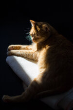 DSC_0322-3.jpg