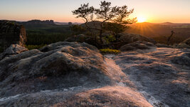 Affensteine Juni Bild klein.JPG