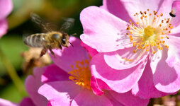 DSC_7892_1.JPG