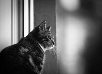 comp_IMG_8301.jpg