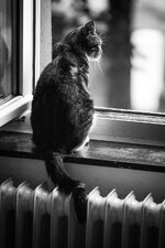 comp_IMG_8309.jpg