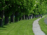P1010764verkl sch+10 li-10.jpg