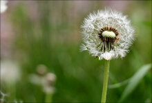 IMG_1426_DSLR.jpg