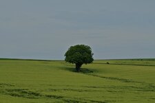 DSCF3562.jpg