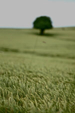 DSCF3564.jpg