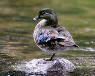 IMGL4279 (28 von 1).jpg