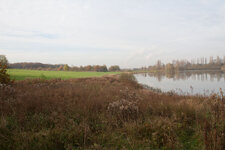 20141113_NSG Lanstroper See_009.jpg