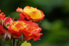 IMG_3277_DxO.jpg