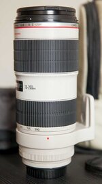 IMG_5100.jpg