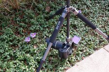 2015-03-18 SAM8597.jpg