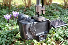 2015-03-18 SAM8600.jpg
