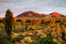 IMG_1194.jpg IMG_1194.jpg