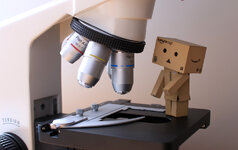 Motic_Danbo.jpg