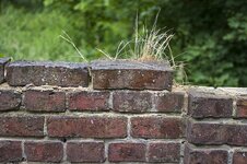 comp_40mauer.jpg