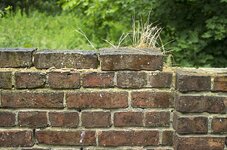 comp_35mauer.jpg