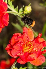 IMG_1804.JPG
