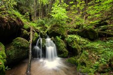 Sächsische SchweizIMG_2947.jpg
