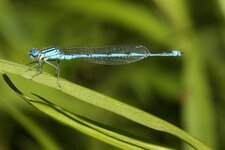 _IMG_5583.jpg