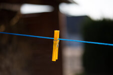 DSLR-Forum-50mmSTM (1 von 1)-2.jpg