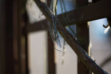 DSLR-Forum-50mmSTM (1 von 1).jpg