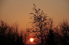 Image00001.jpg