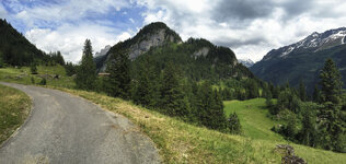 IMG_4908.jpg