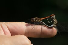 web_DSC08164.jpg