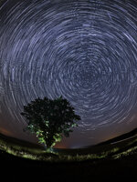 Startrails Perseiden 2 halbe Zeit heller gelber.jpg