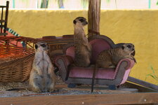 DSC_5497s.jpg