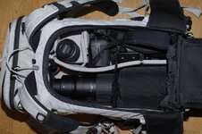 _DSC0001.JPG