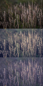 Untitled-1.jpg