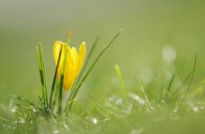 comp_IMGP3000twas.JPG comp_IMGP3000twas.JPG