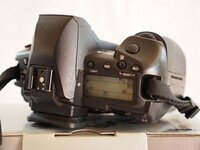 MH157206.jpg