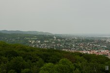 Lainzer Tiergarten COMP 8.jpg