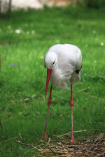 IMG_6696.jpg