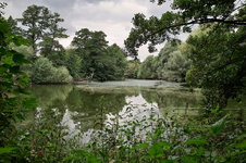 AmTeich3_2010.jpg