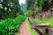 Levada da Janela 1.JPG