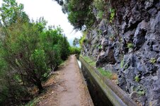 Levada da Janela 7.JPG