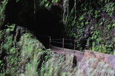 Levada da Janela 10.JPG