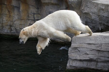 150718_Zoo_Hannover-16.JPG