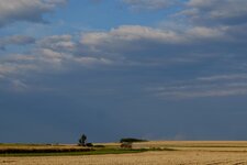 DSCF4055.jpg