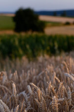 DSCF4114.jpg