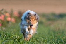 comp_Elsa Test-2.jpg comp_Elsa Test-2.jpg