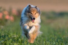 comp_Elsa Test-3.jpg comp_Elsa Test-3.jpg