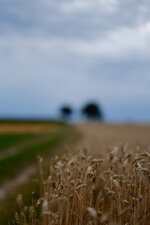 DSCF4143.jpg