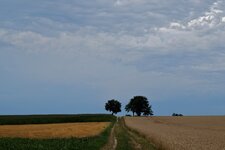 DSCF4145.jpg