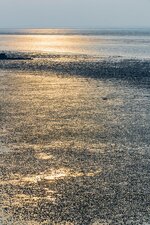 Nordsee 2015-2.jpg