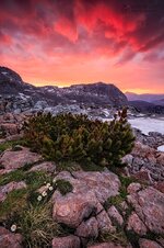 AUST9933.jpg AUST9933.jpg