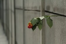 IMG_7367_top.jpg