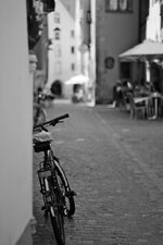DSCF0019.jpg